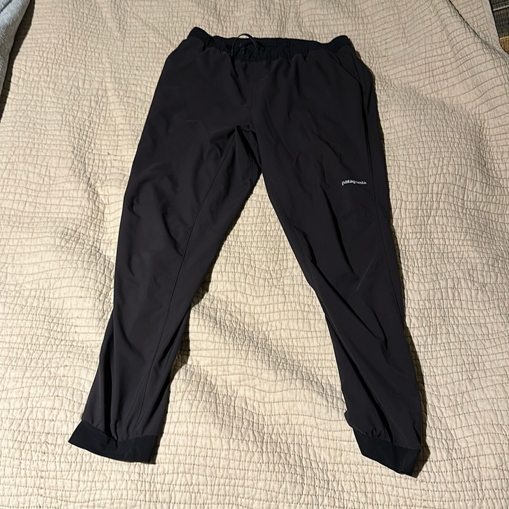Patagonia Terrebone joggers
